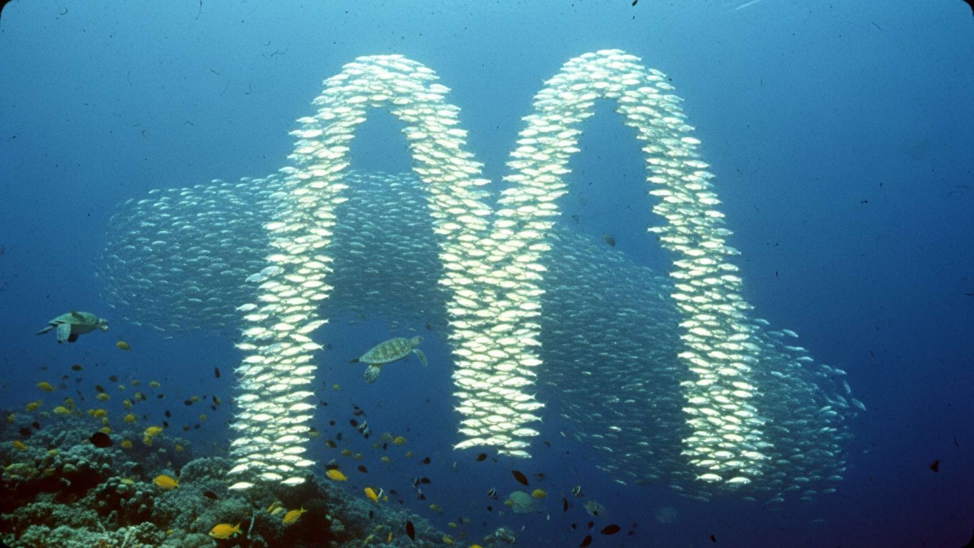 McDonald’s Reintroduz o Filet-O-Fish com uma Captura Sustentável