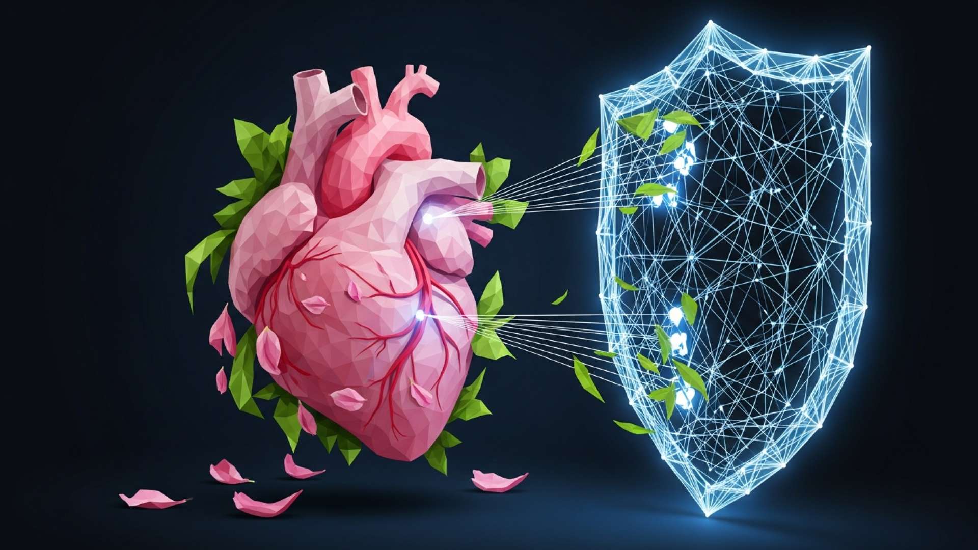 A Mudança Cardiovascular Invisível Durante a Menopausa